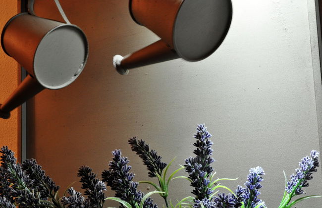 Pátios da Vila - Boutique Apartments - Foto 31