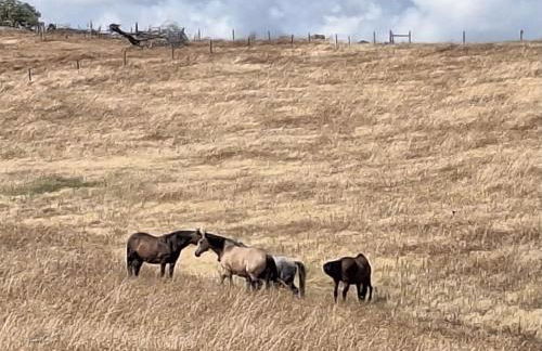 ALDEIA DOS ORVALHOS - VILLAGE By MAYORAL - Foto 30