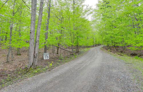 Less Than 5 Mi to Whiteface Mtn Resort Cabin-Style Apt - Foto 24