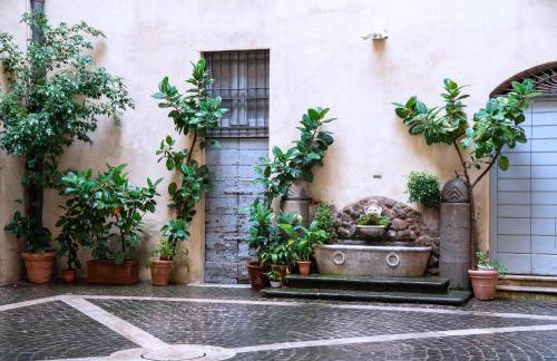 Il sogno delle tartarughe - Foto 13