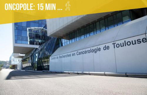 Studio proche Cancéropôle et Univ Jean Jaurès - Foto 14