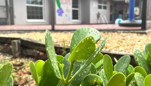 Vintage Family Scape + heated pool&discount - Foto 4