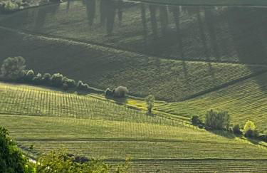 La Colombara - Fra i colli a 5 minuti dall'autodromo - Foto 38