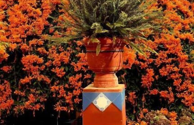 Finca La Principal - Foto 31