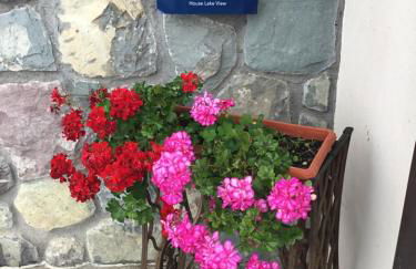 Home Iseo Lake - Photo 16