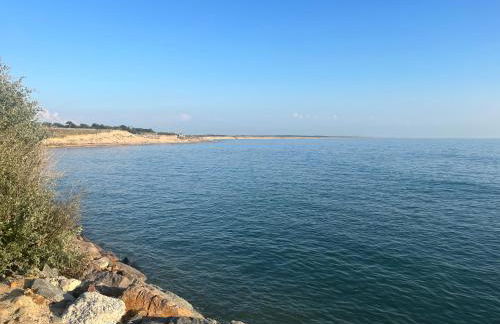 Sables des Dunes, jolie maison neuve tout confort, vacances famille ou entre amis, 500 m plage - Foto 31