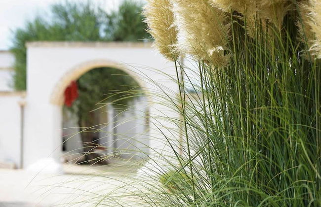 Agriturismo Masseria De Michele - Foto 58