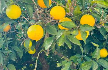 Casa amunì - Foto 19