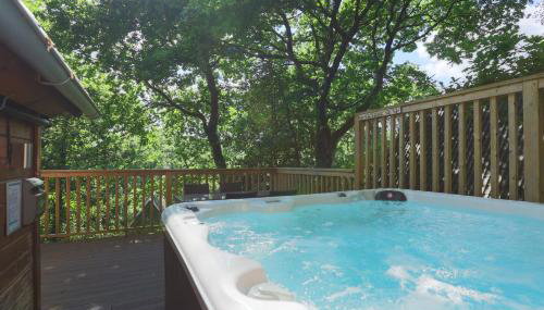 Fern Gully Lodge with Hot Tub - Spa Resort - Devon - Foto 2