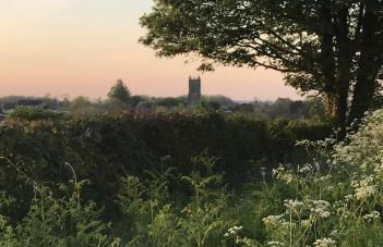 Hollybush Lodges - Foto 49