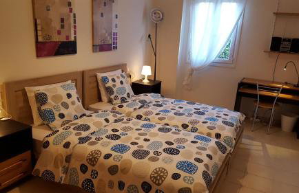 Patras Palm Tree - Foto 39