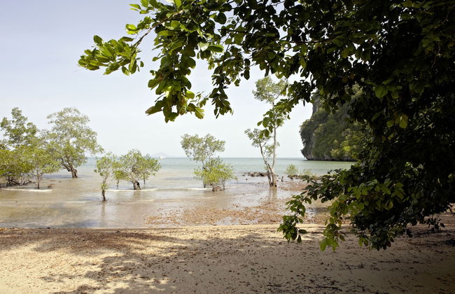 The Beach House - Foto 33