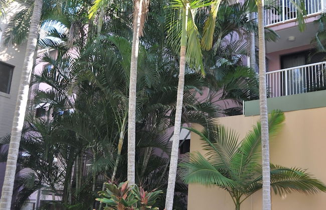 Spring Hill Gardens Apartments - Photo 26