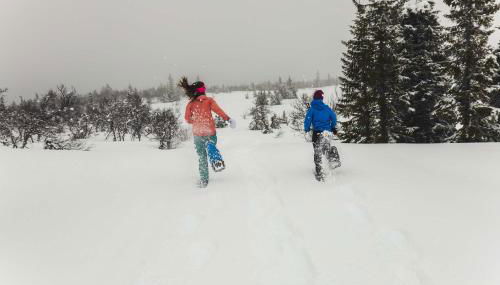 Winter Hideaway Lakeside Cabin Snowmobile - Foto 5