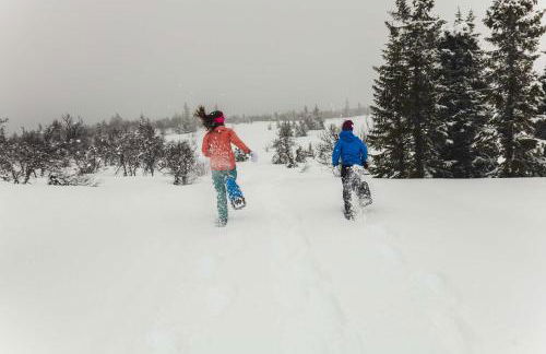 Winter Hideaway Lakeside Cabin Snowmobile - Foto 5