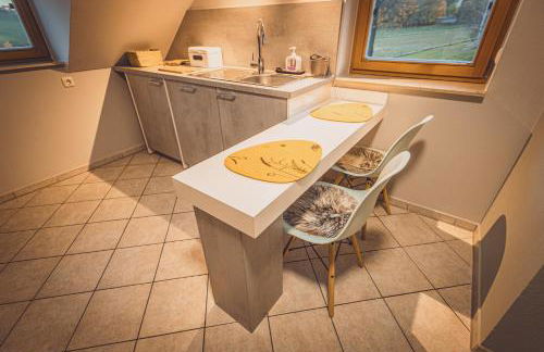 Ferienwohnungen Adam Ries in Annaberg Buchholz - Foto 15