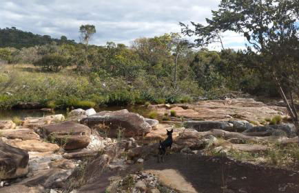 Maria Bonita Eco Pousada - Foto 36