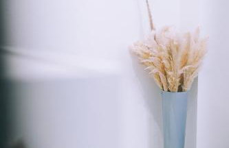 Haus im Weinland - Ihringen - Photo 16