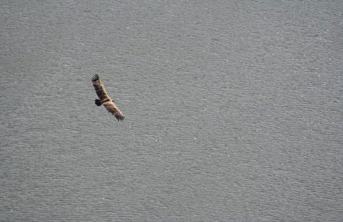 Casa de l Bárrio - Foto 17