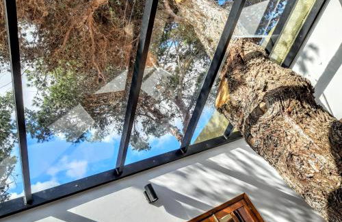 Beach Tree House - Foto 4