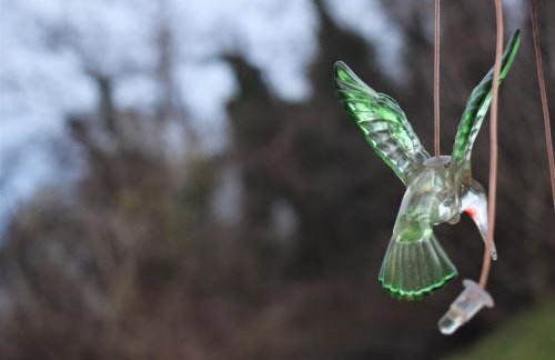 Green Garden Station - Photo 35