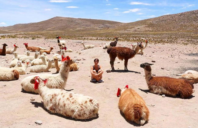 Escursione a Chivay e al Canyon del Colca - Foto 1