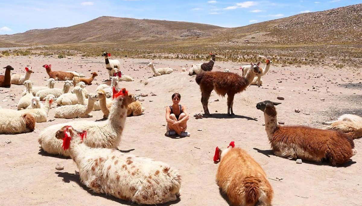 Excursion à Chivay et au Canyon de Colca - Photo 1
