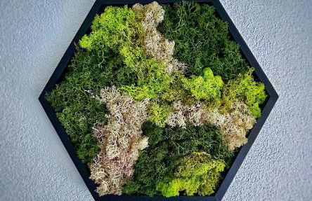 Waldachtal Hideaway - Foto 10