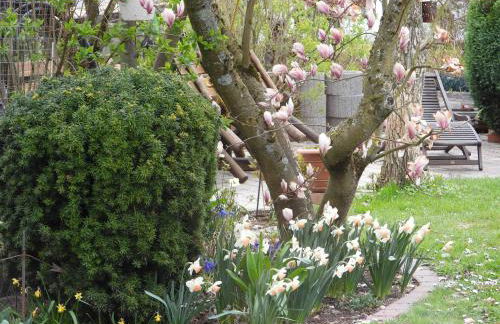 Ferienwohnung "Off Born" Familie Bremm - Foto 18