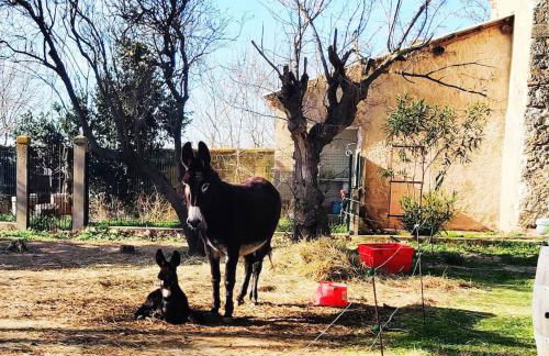 Au cœur de la Nature - Foto 11