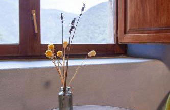 Mas Els Terrats - Foto 25