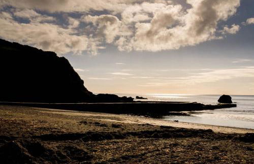 Pet Friendly Sea view Villa Millendreath Looe - Foto 19