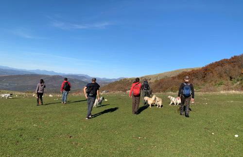 SetterHouseAgriHotel - Photo 59