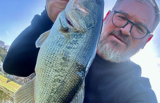 La Ferme Guest Farm - Foto 77