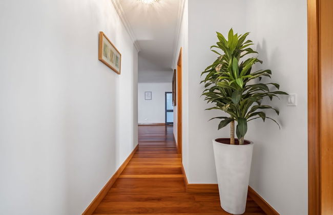 Faias Haven by Homie - Foto 81