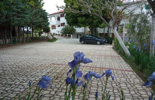 KATY&MLADEN - Photo 20