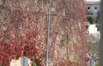 Apartment in Semeador 2 - Foto 26