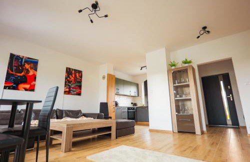 Beskid Penthouse Milówka - Photo 30