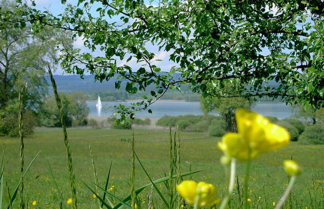 Suite Apartment 80 sqm - Foto 9