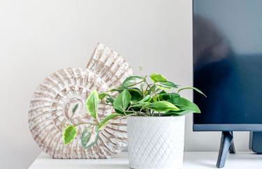 Amodiño- 1º línea Playa Langosteira y vistas al mar - Foto 25