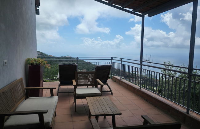 Fattoria Terranova - Foto 45