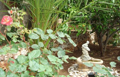 Apartments Kiro - Foto 43