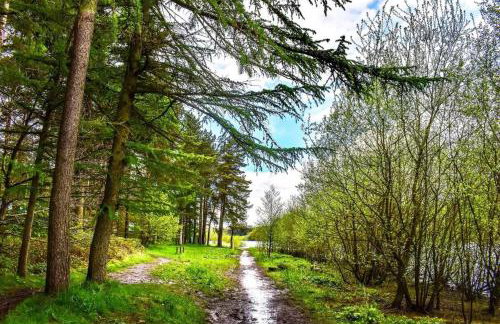 Stone Moor Lodge Justin's Peak District Base Camp - Foto 16