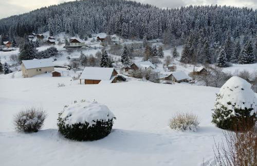 Gîte Confortable en Pleine Nature avec Cheminée et Accès Direct aux Sentiers, Proche Gérardmer et Lac - FR-1-589-124 - Photo 35