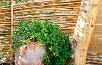 Kamihis Farm House Experience - Foto 25