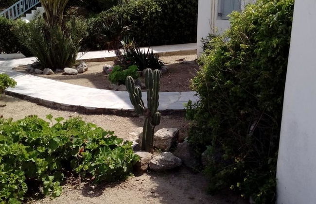 Mykonian Aroma House - Photo 41