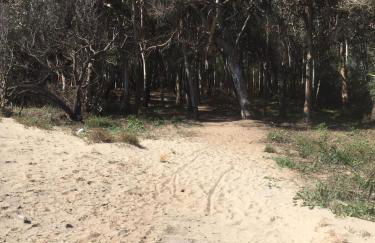 Beach House Vaccarizzo - Foto 11