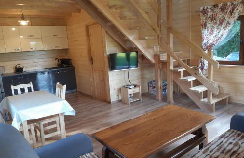 Domek na wzgórzu "RYŚ" - Foto 9