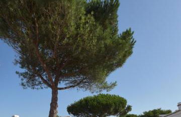 Le Parc des Mimosas - Foto 44