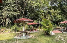 Casa com Igarapé - Photo 15